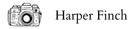 harper_finch_wide_logo